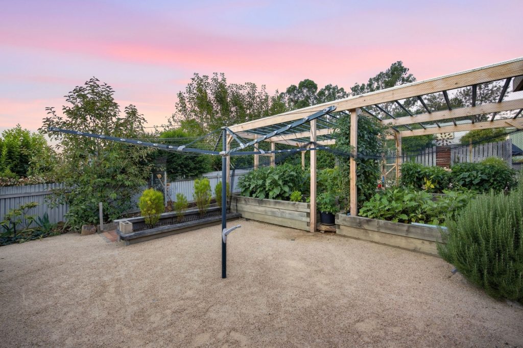 Established vegetable garden with raised garden beds and growing area.